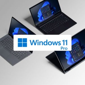 Microsoft Windows 11 Professional 64 Bit ENG Intl 1PK DSP OEI DVD